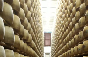 I giovani casinesi e di Fritzlar scoprono e studiano insieme il Paesaggio del Parmigiano Reggiano